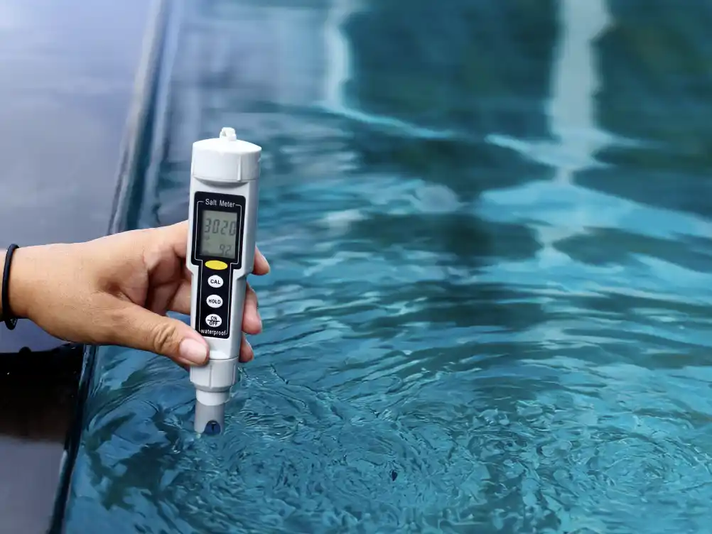 Salt cell maintenance