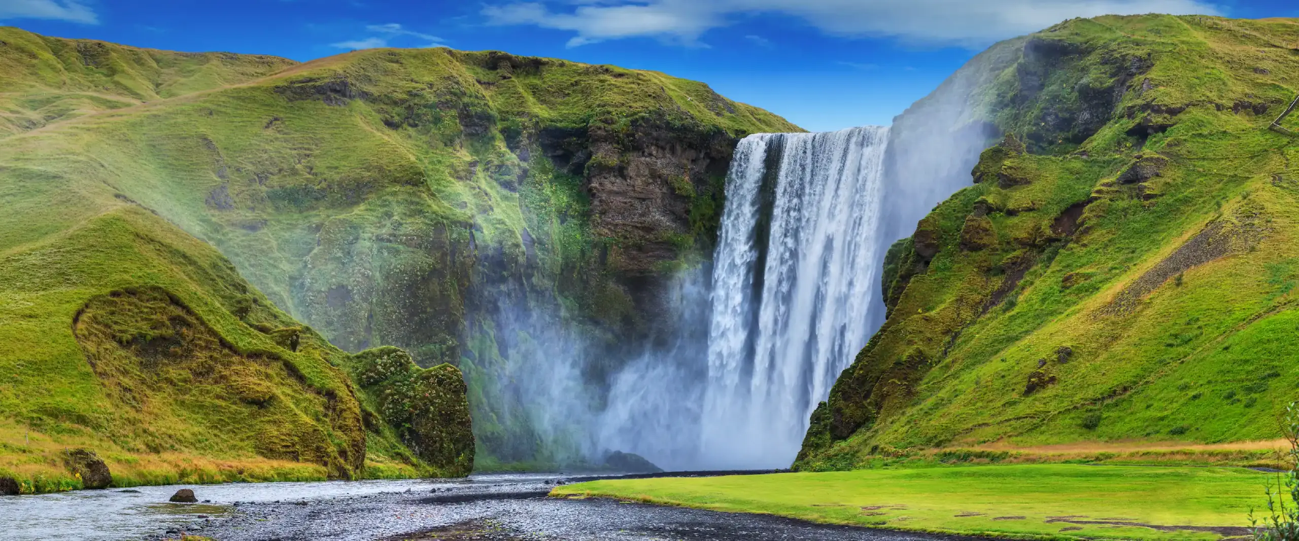 Pool designs that bring nature home.