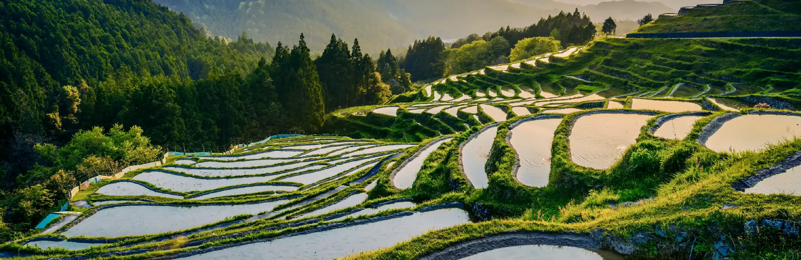 The Vista tanning ledge from EvoPools