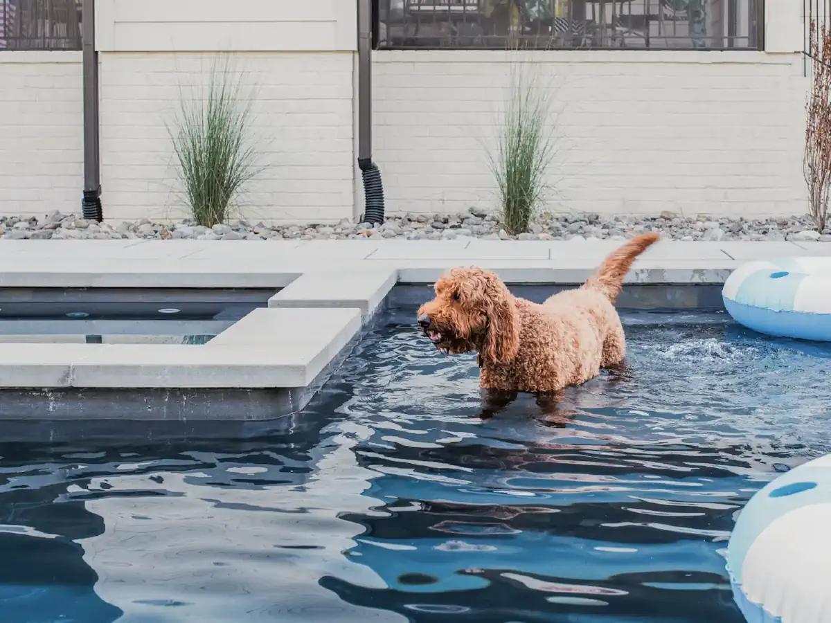 The EvoPools Sacred backyard swimming pool