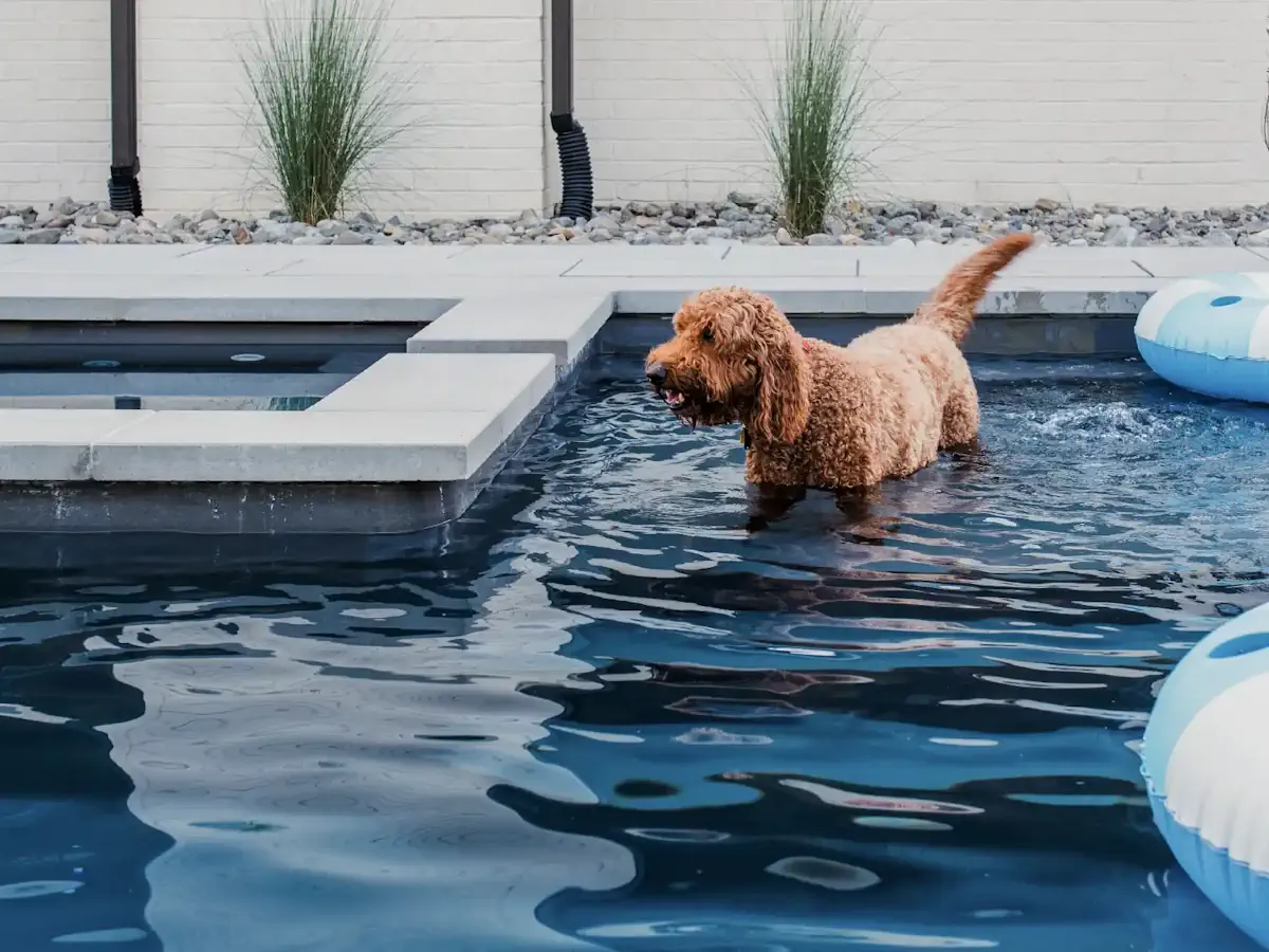 finding the right pool design for georgia properties